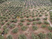 Agios Vasilis Kreta, Agios Vasilis: Erstklassiges Baugrundstück zum Verkauf mit Meer- und Bergblick Grundstück kaufen